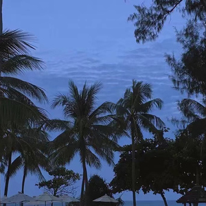 漳州硫化机厂家用小猪营销导航
