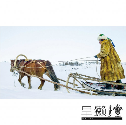 漳州硫化机厂家用小猪营销导航
